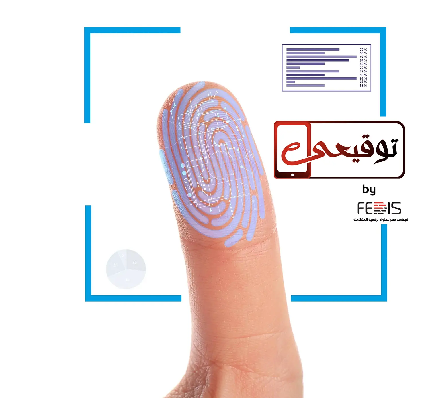 Digital Signature - Fixed Misr (FEDIS) - Digital Solution and information  Security