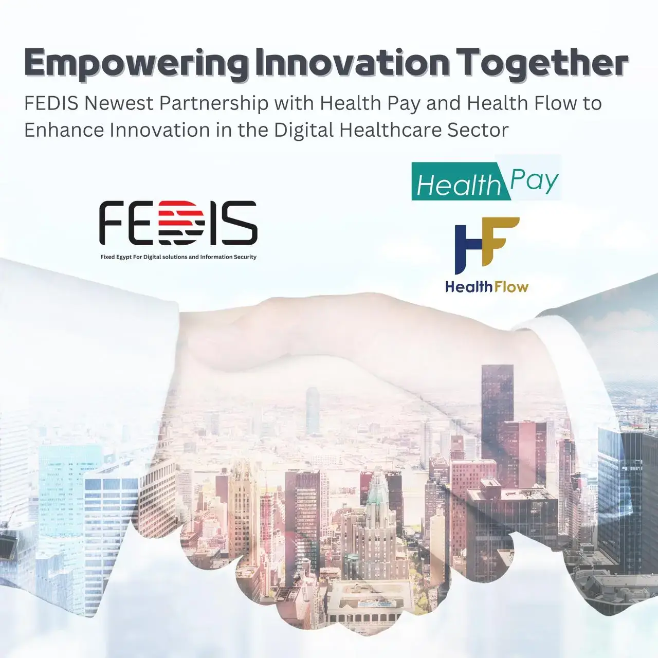 Fixed Egypt Partnership X Health Pay